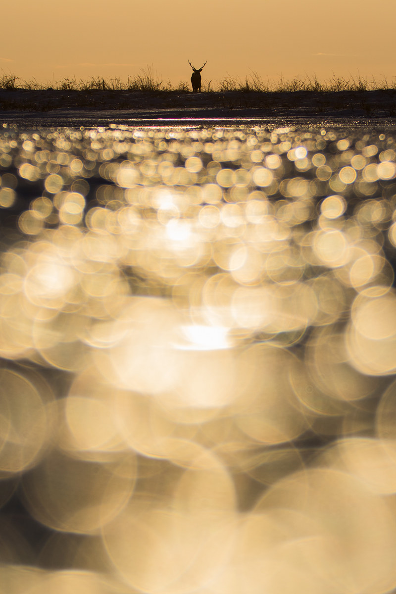 The glory of the sunset