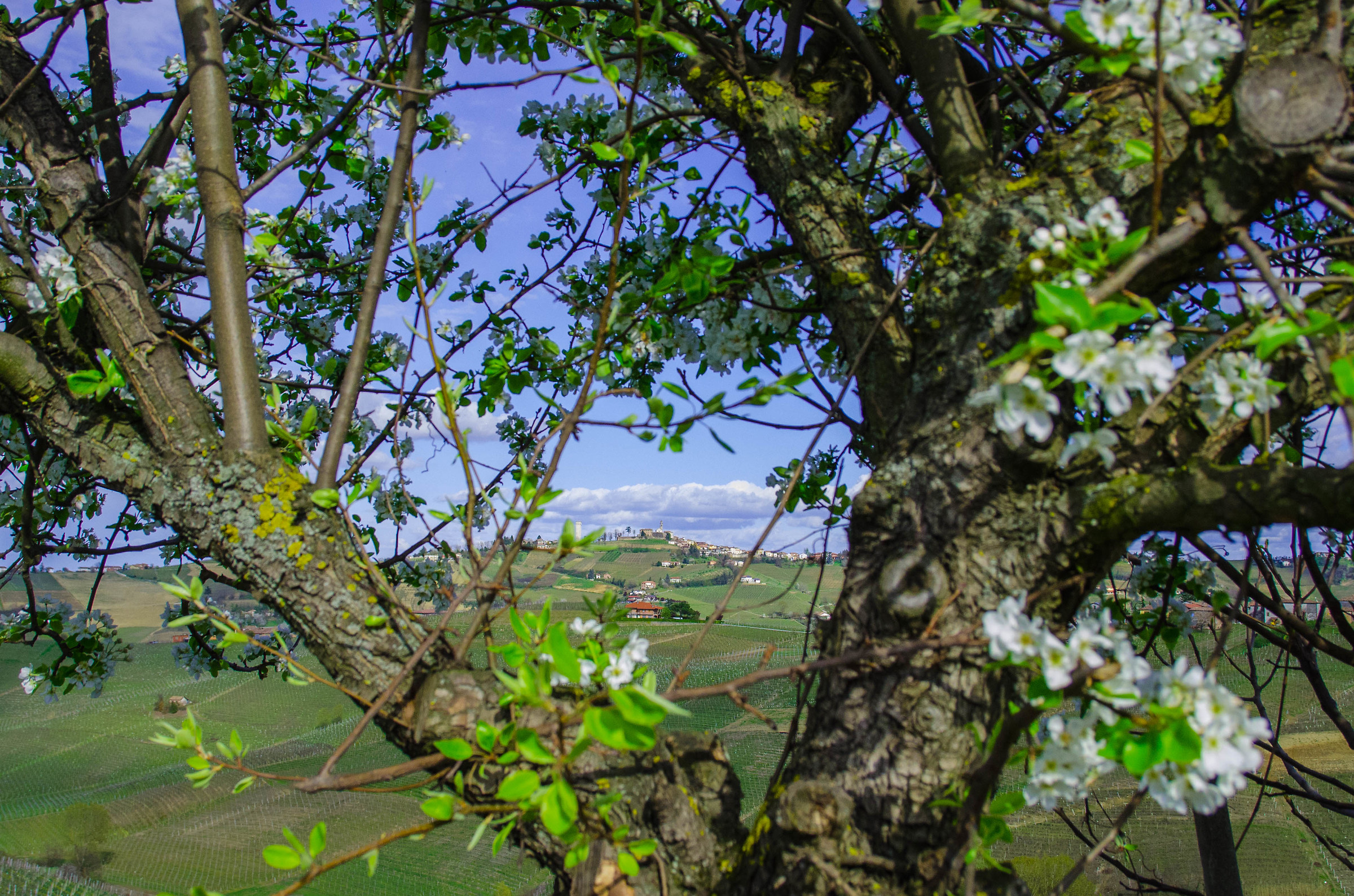 Walking that warm your heart