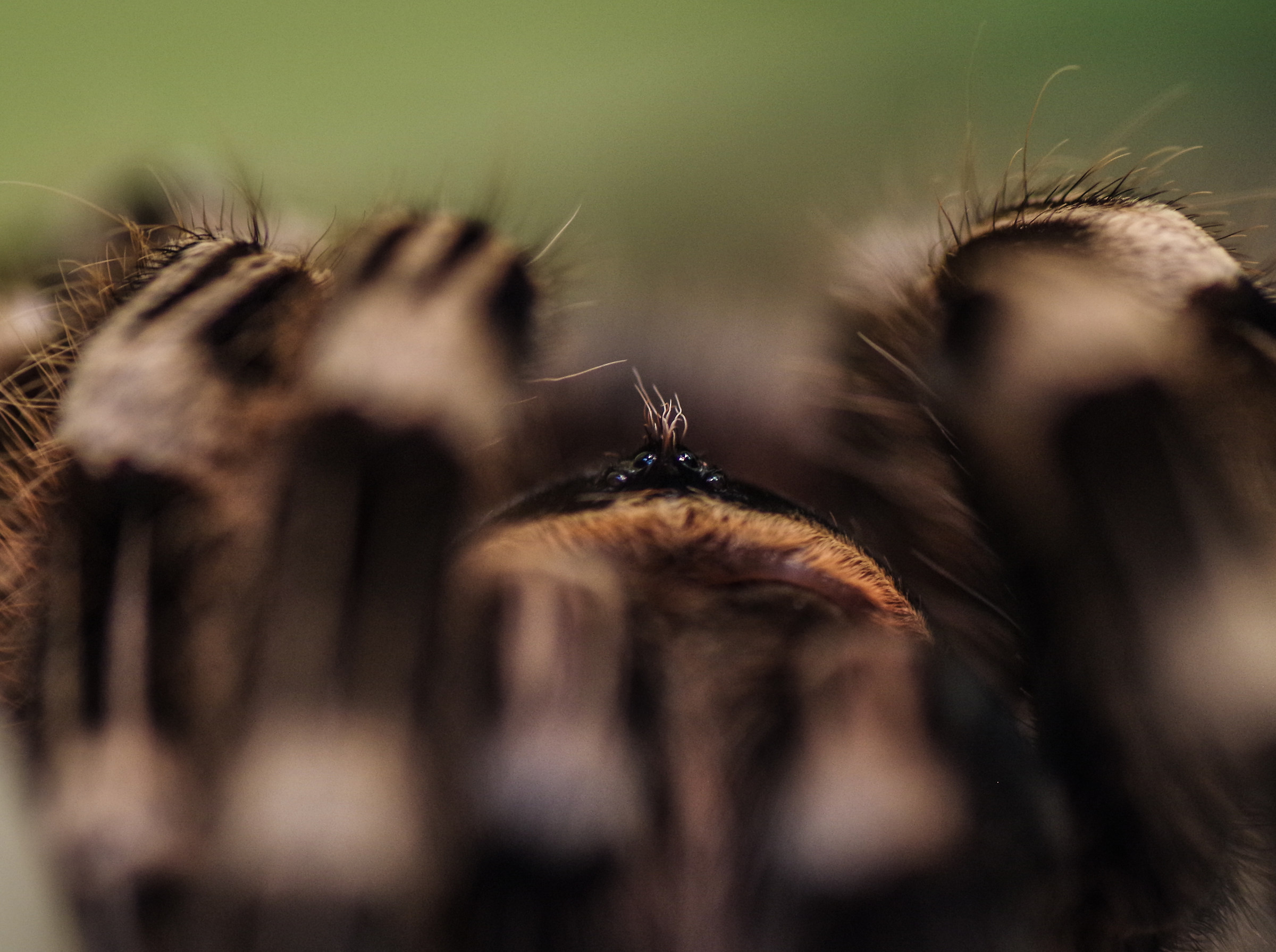 Una acconciatura alla moda