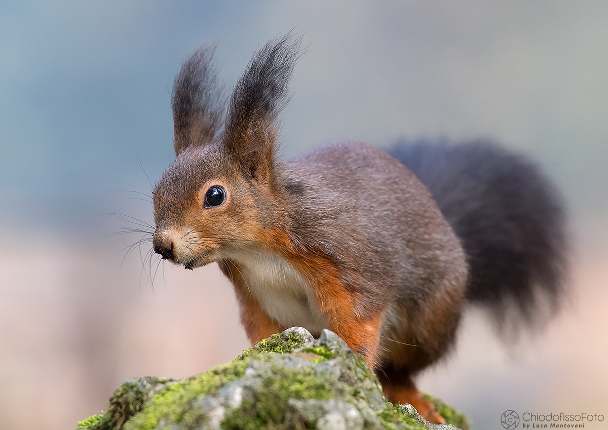 Look, I have the nose a little 'dirty!