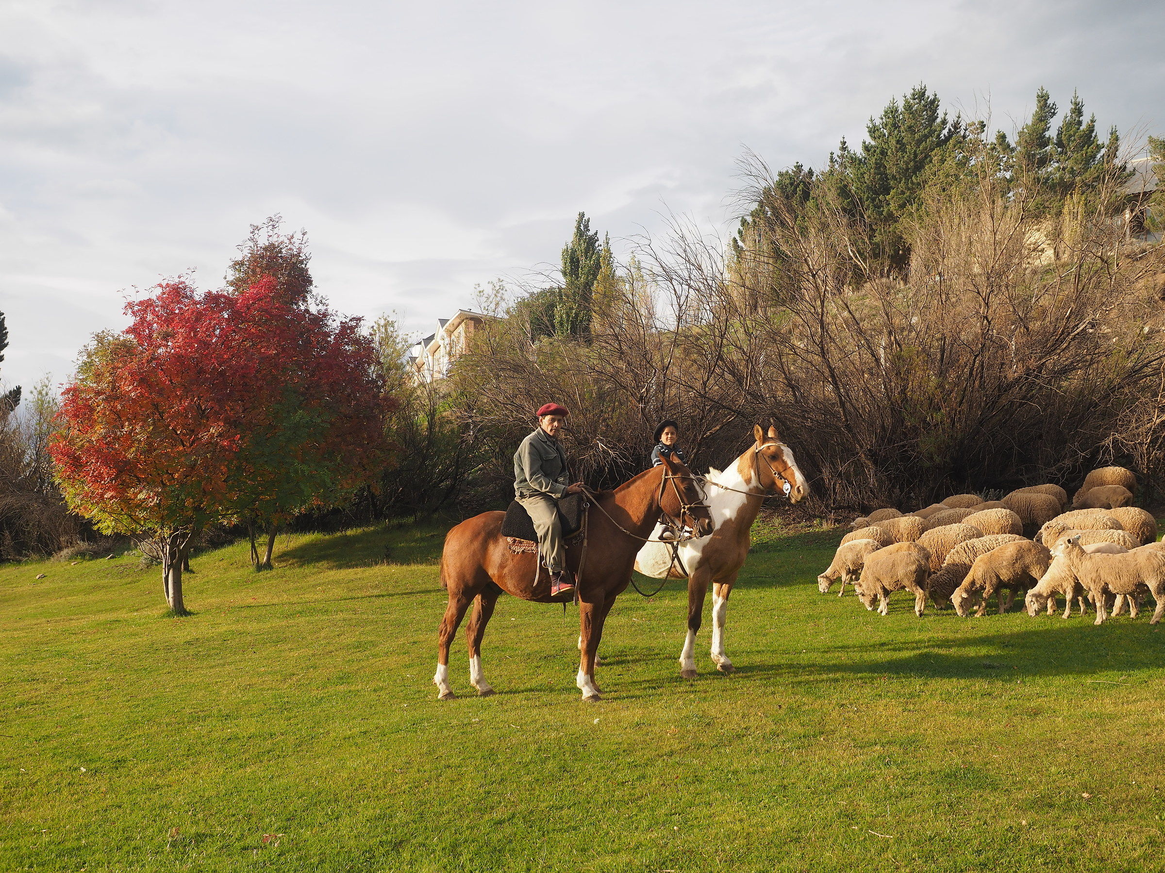 Estancia in Patagonia with Gaucho and Gaucho Young