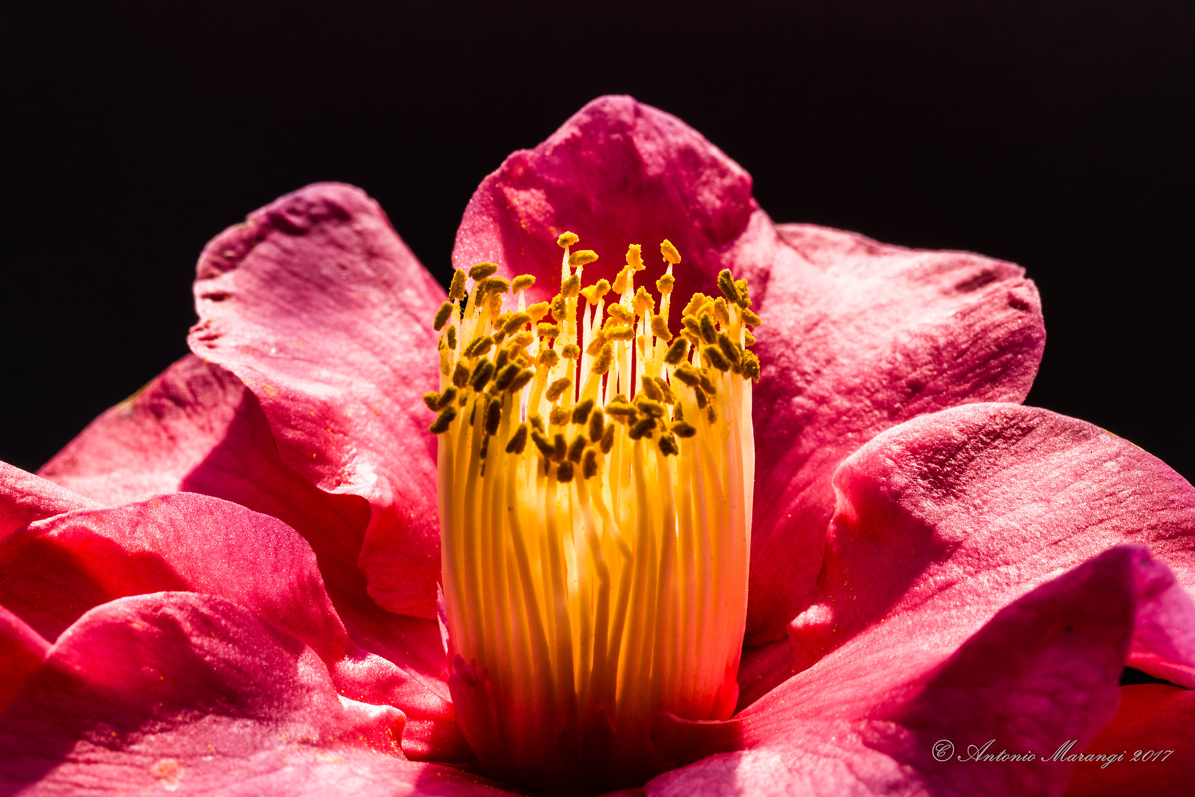 now we see the differences