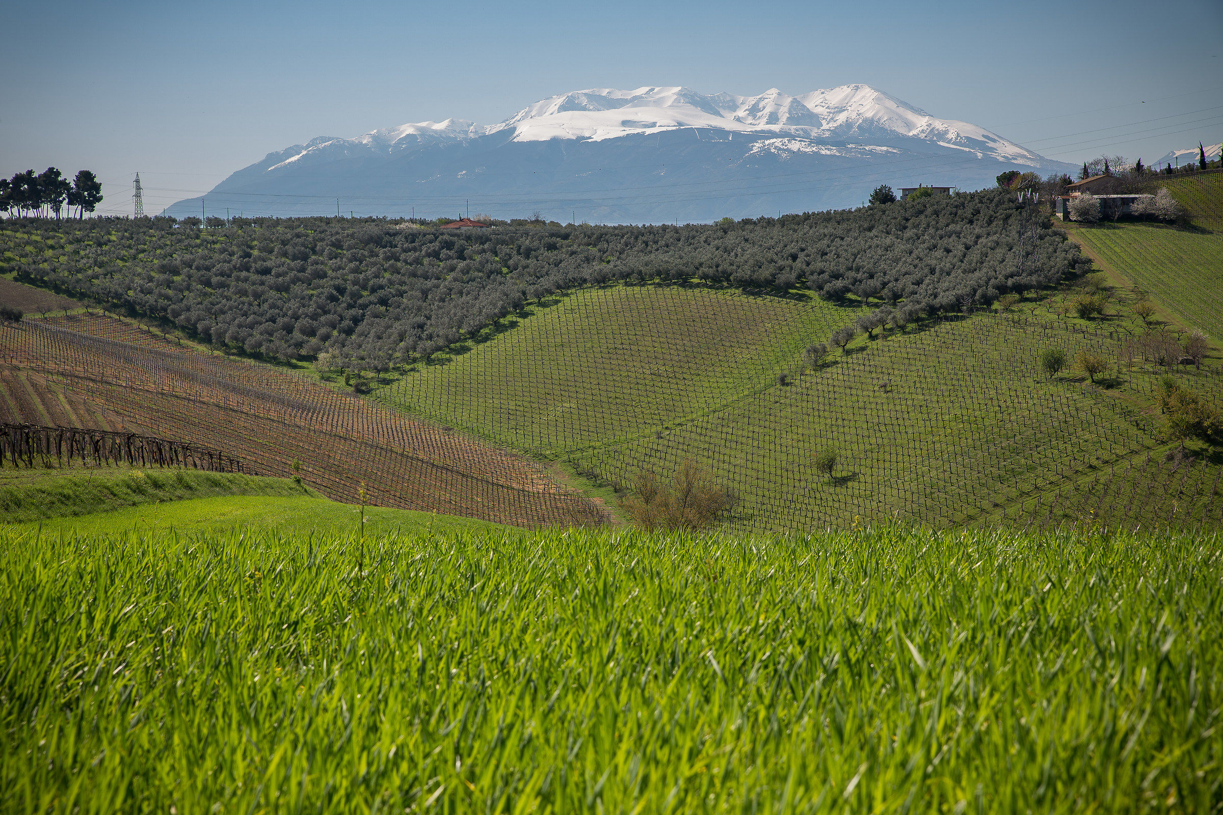 Su e giù per le colline d'Abruzzo .