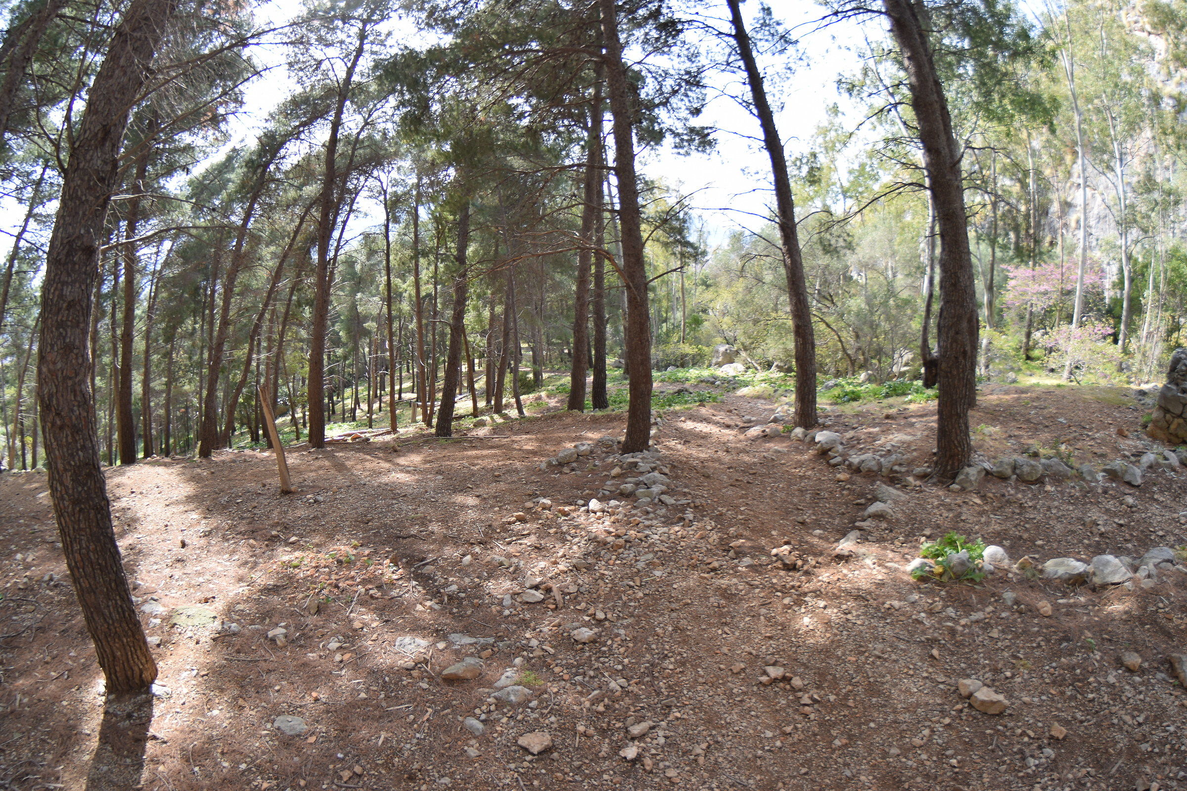 The pork-Valle Monte Pellegrino Palermo