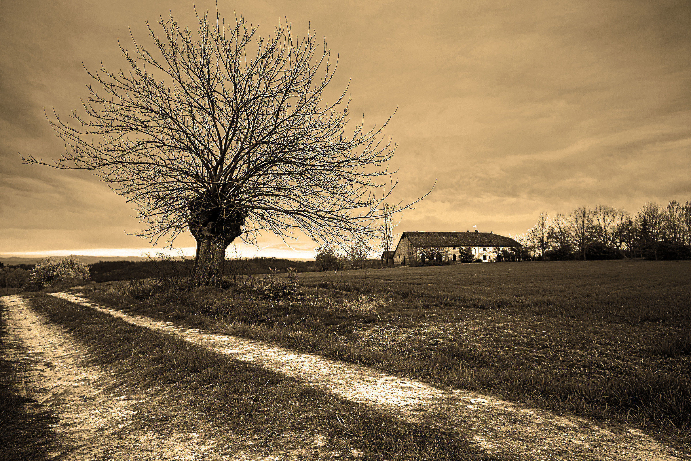 Piemonte, Mombaruzzo