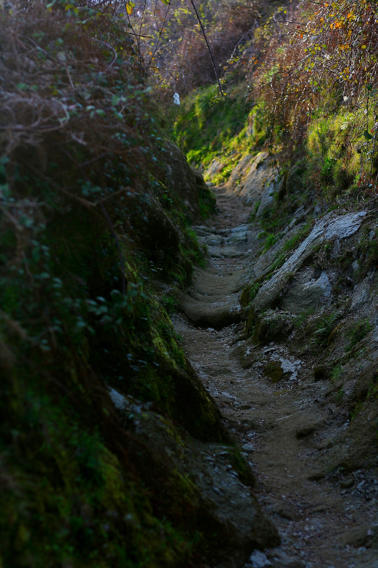Più ardua del previsto