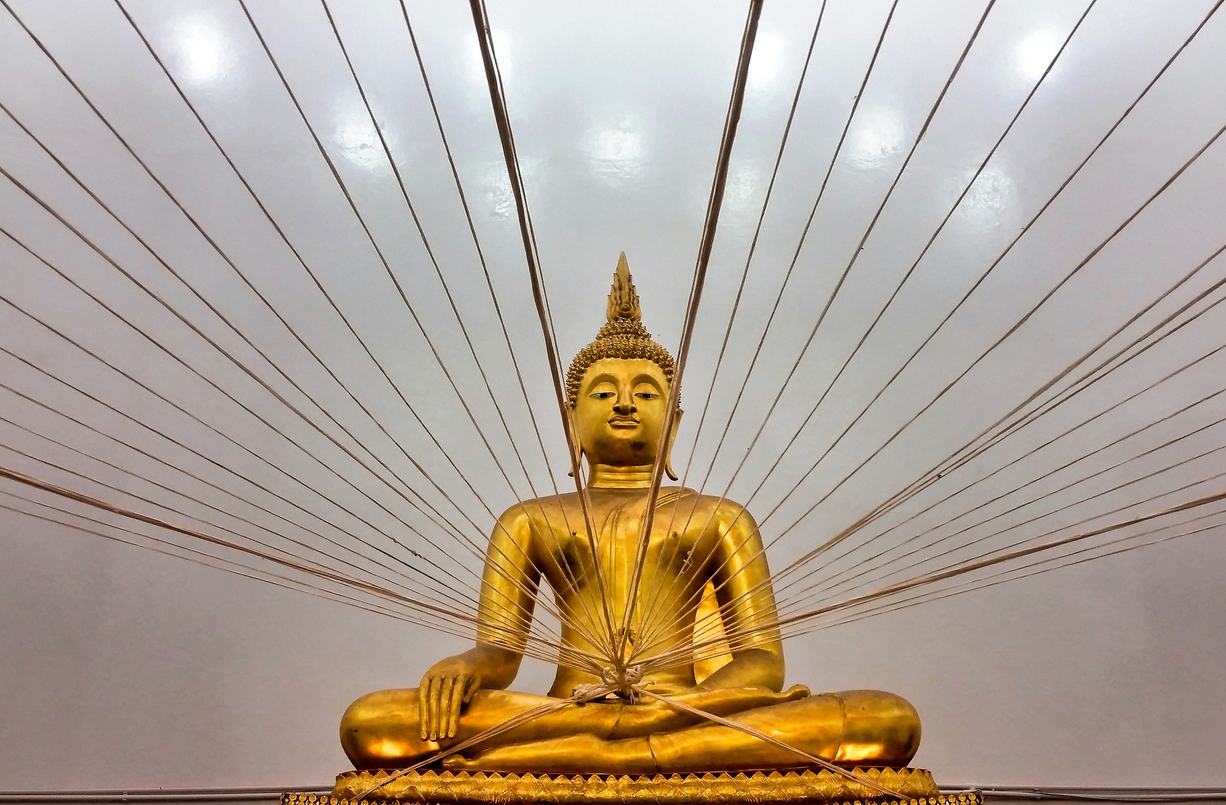 Diramazioni del Buddha