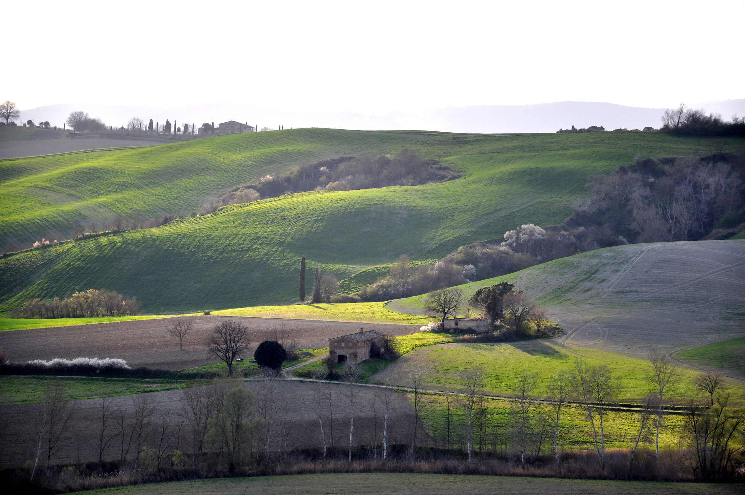 Tuscan hills