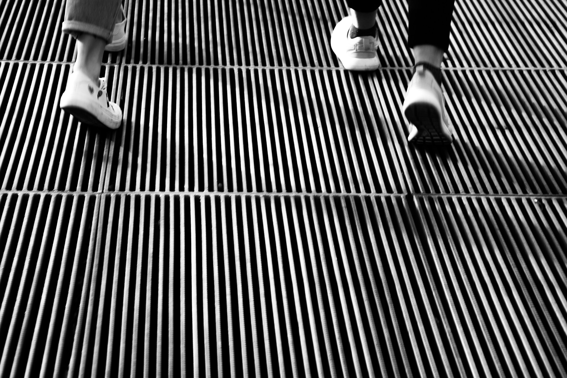 Camminando tra le righe