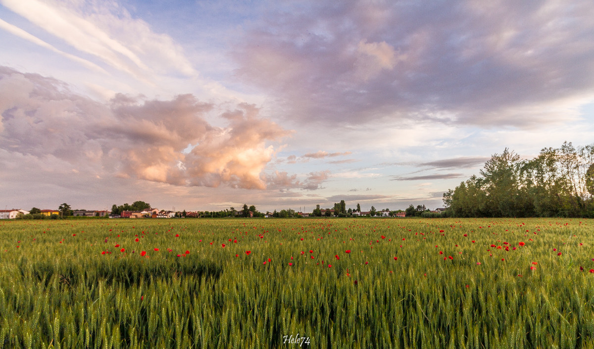 from the window of my house