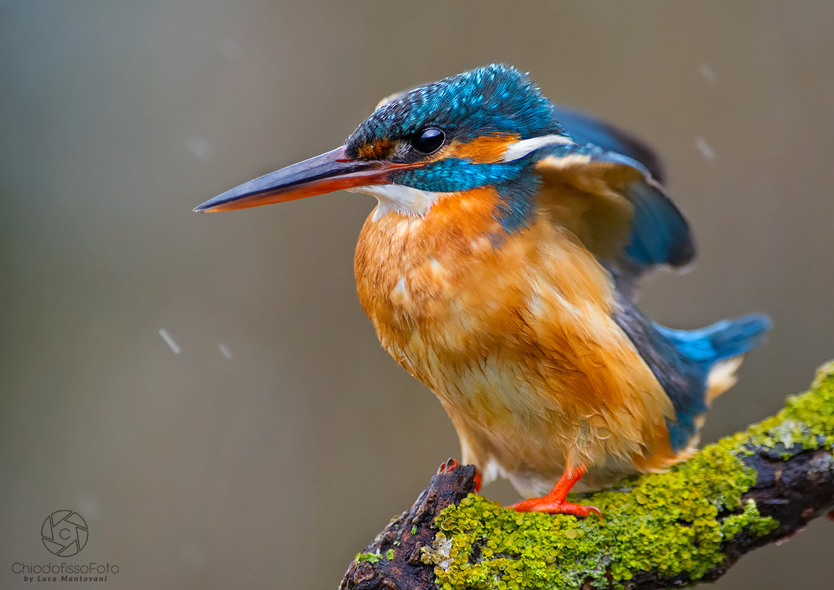 Martino annoyed by rain