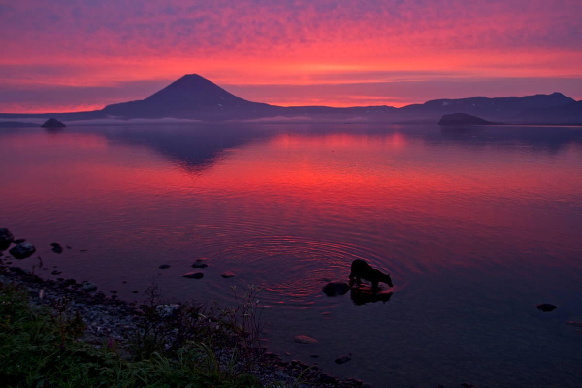 Walking in the colors