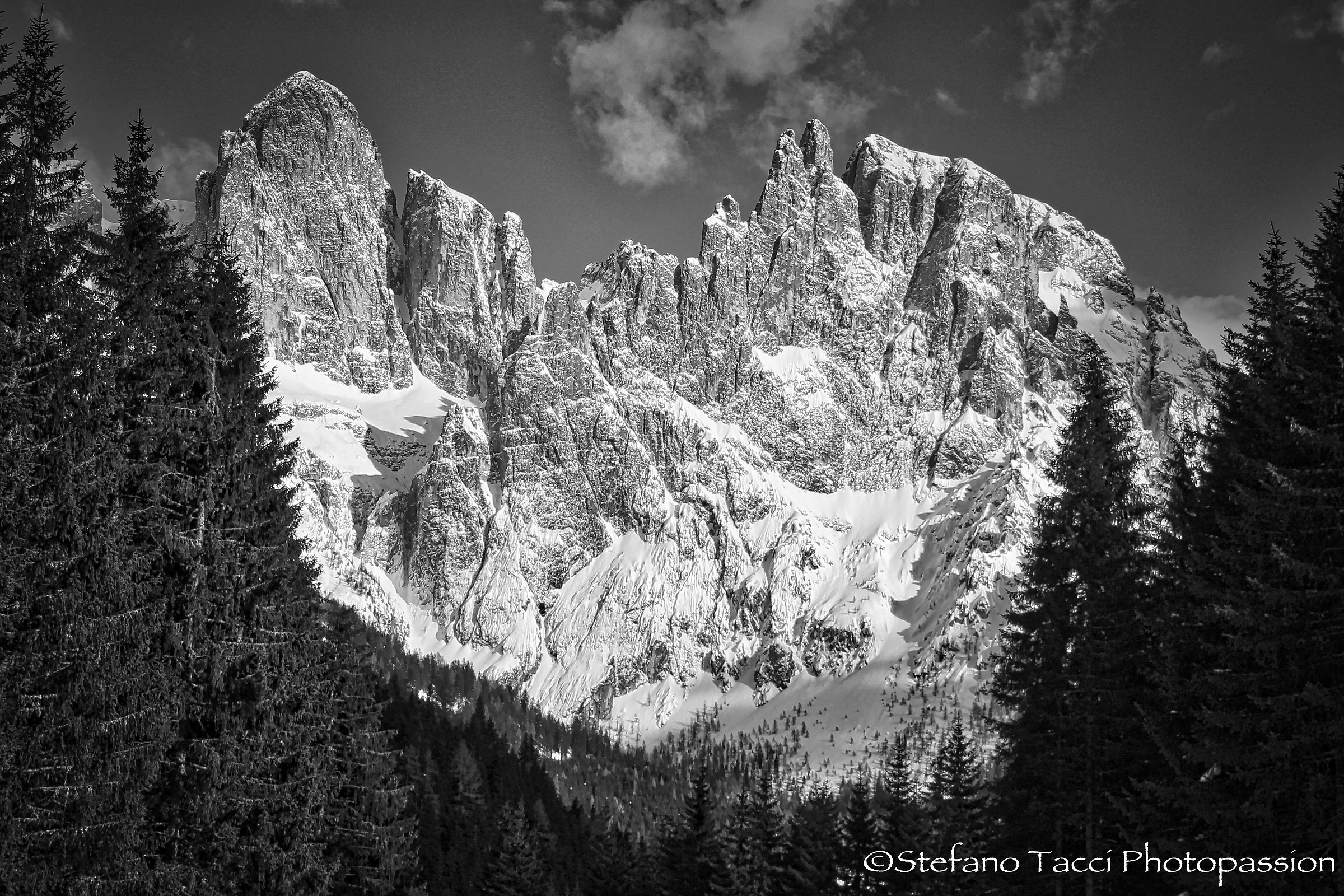 Dolomiti