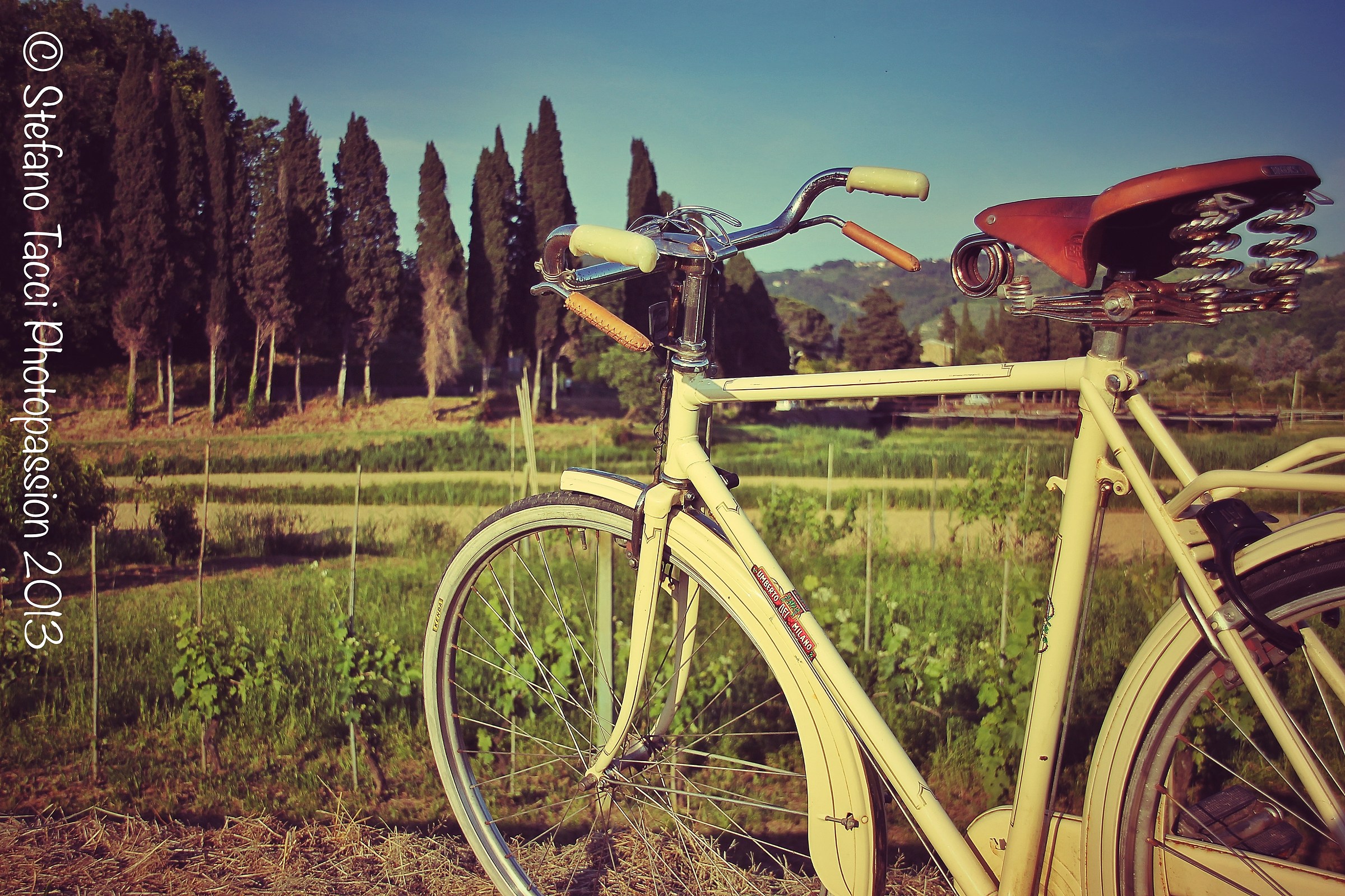 pedaling through the hills