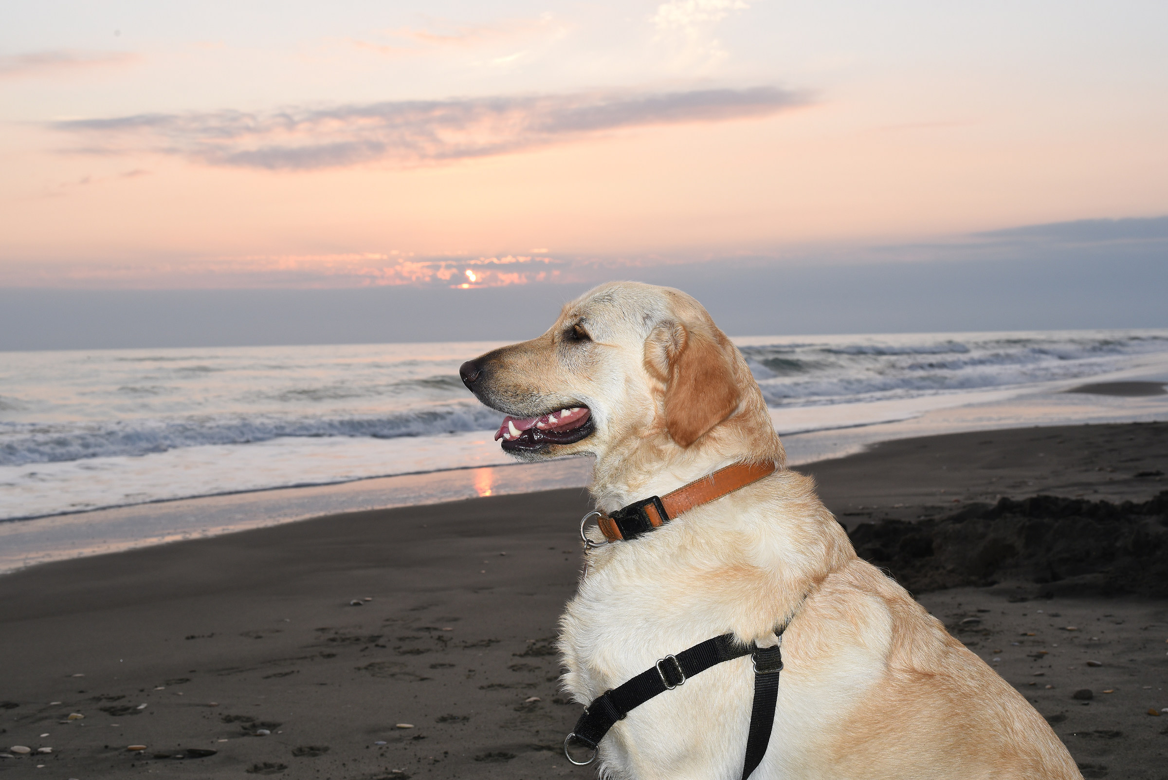 Asia: "I go so well?"