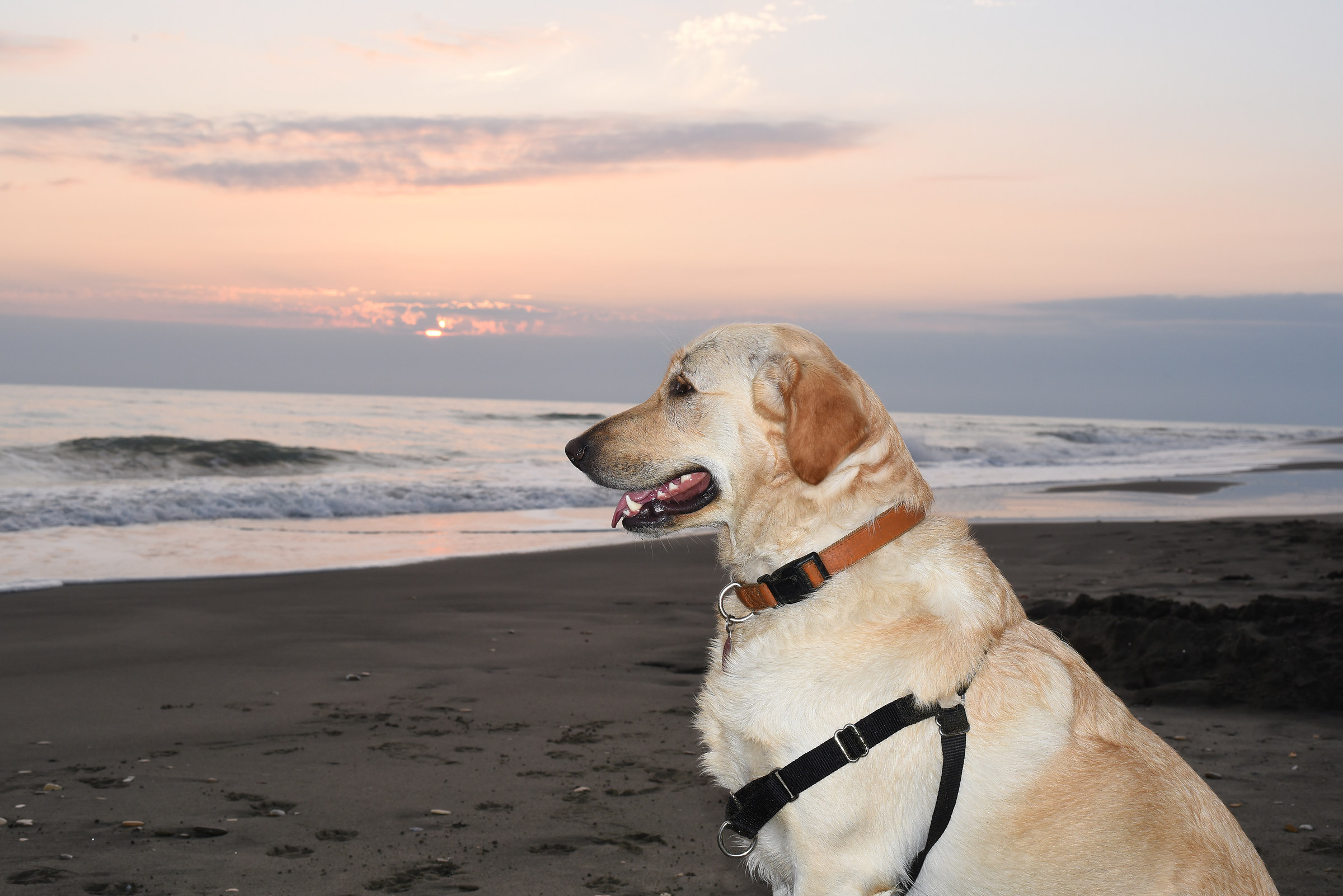 Asia: "forse vengo meglio così?"