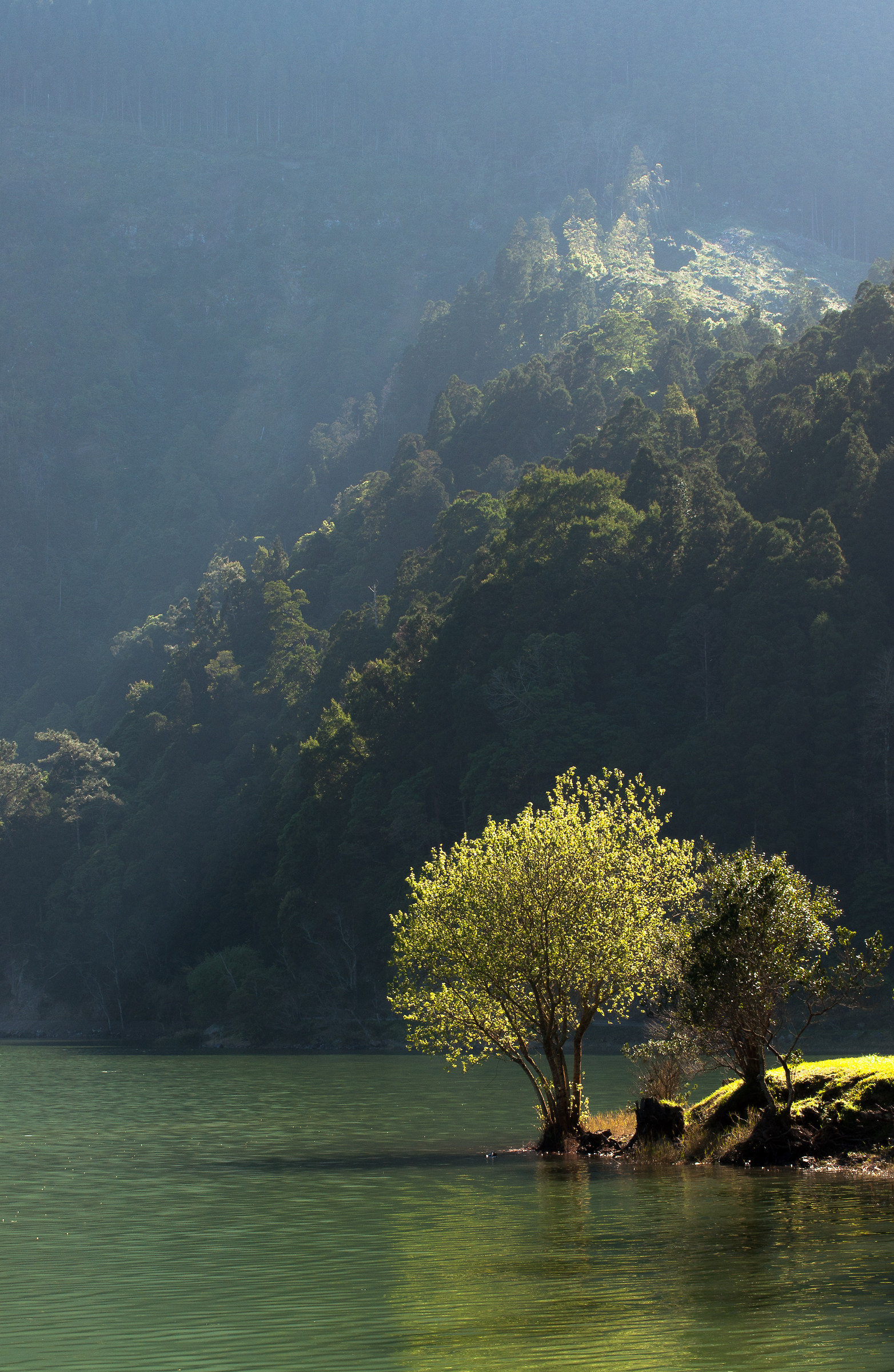 Rasa Lagoa, Sao Miguel, Azores