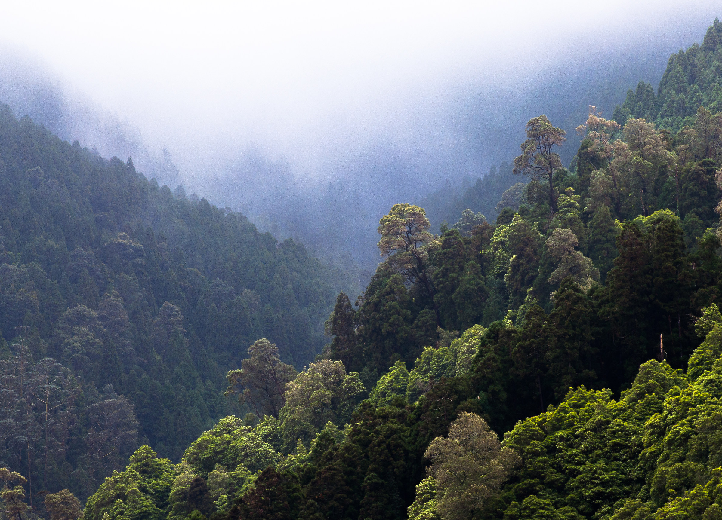 Algarvia, Sao Miguel, Azores