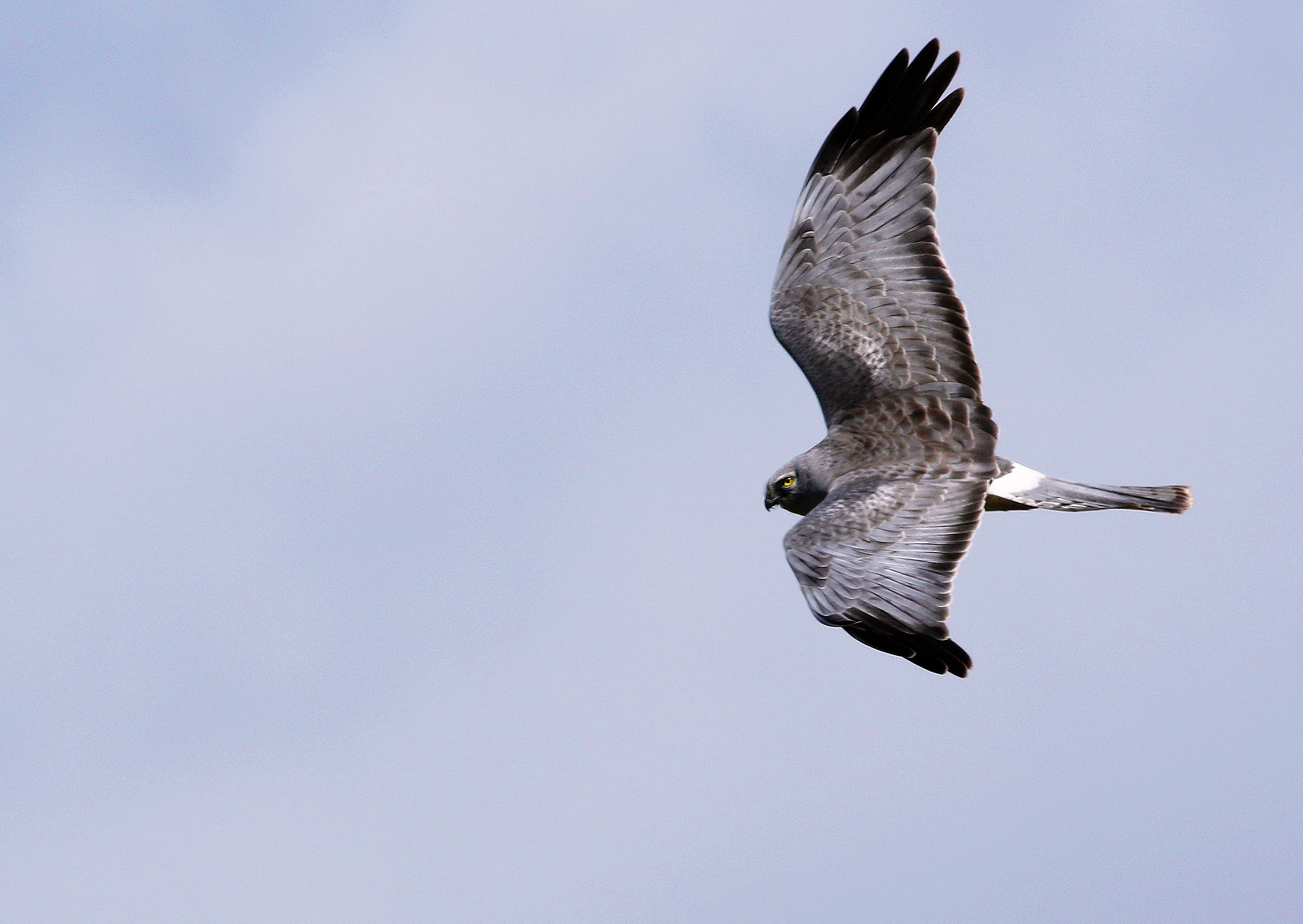 un'altra prospettiva