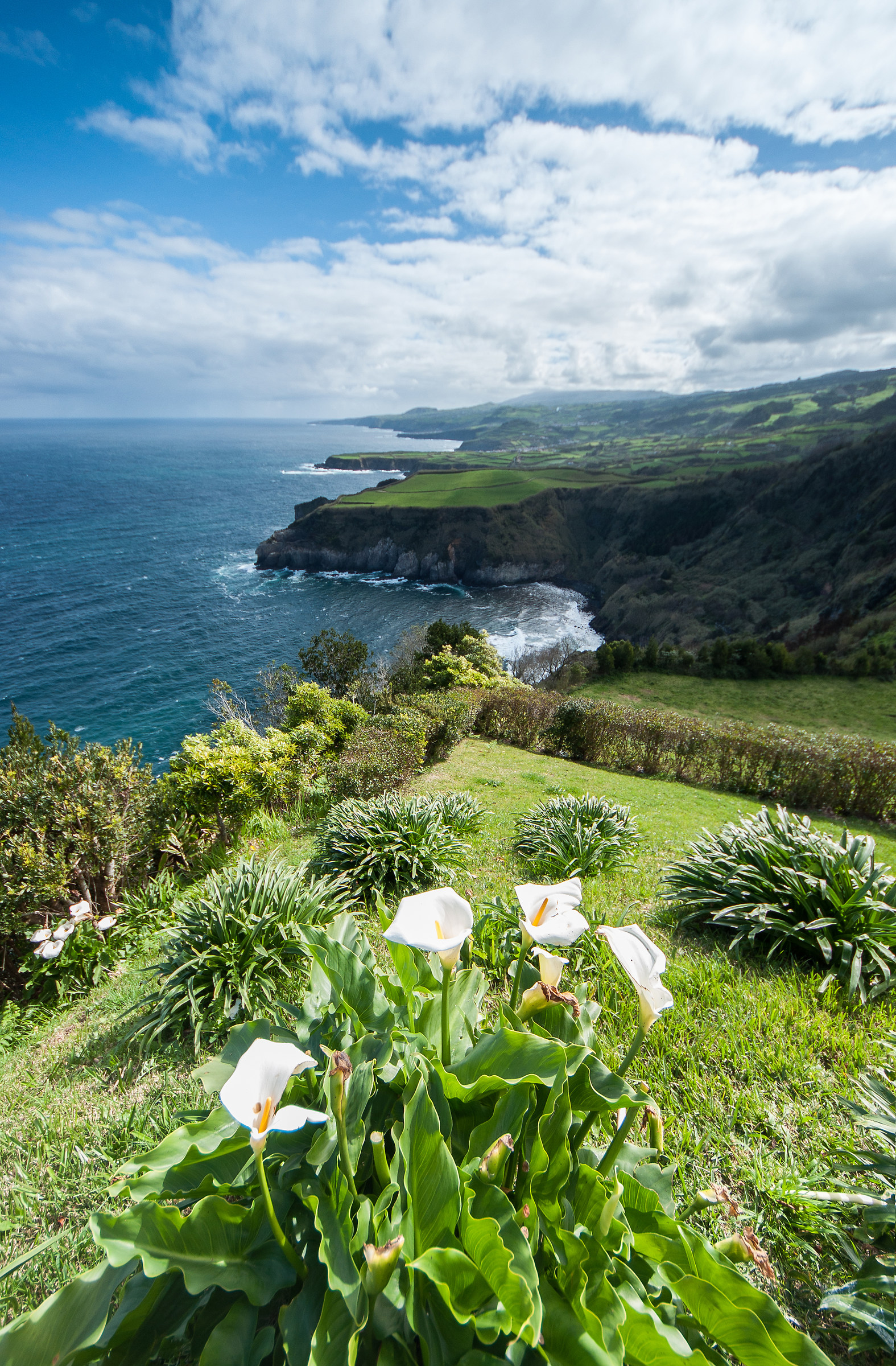 Miradouro Santa Iria, São Miguel, Azores