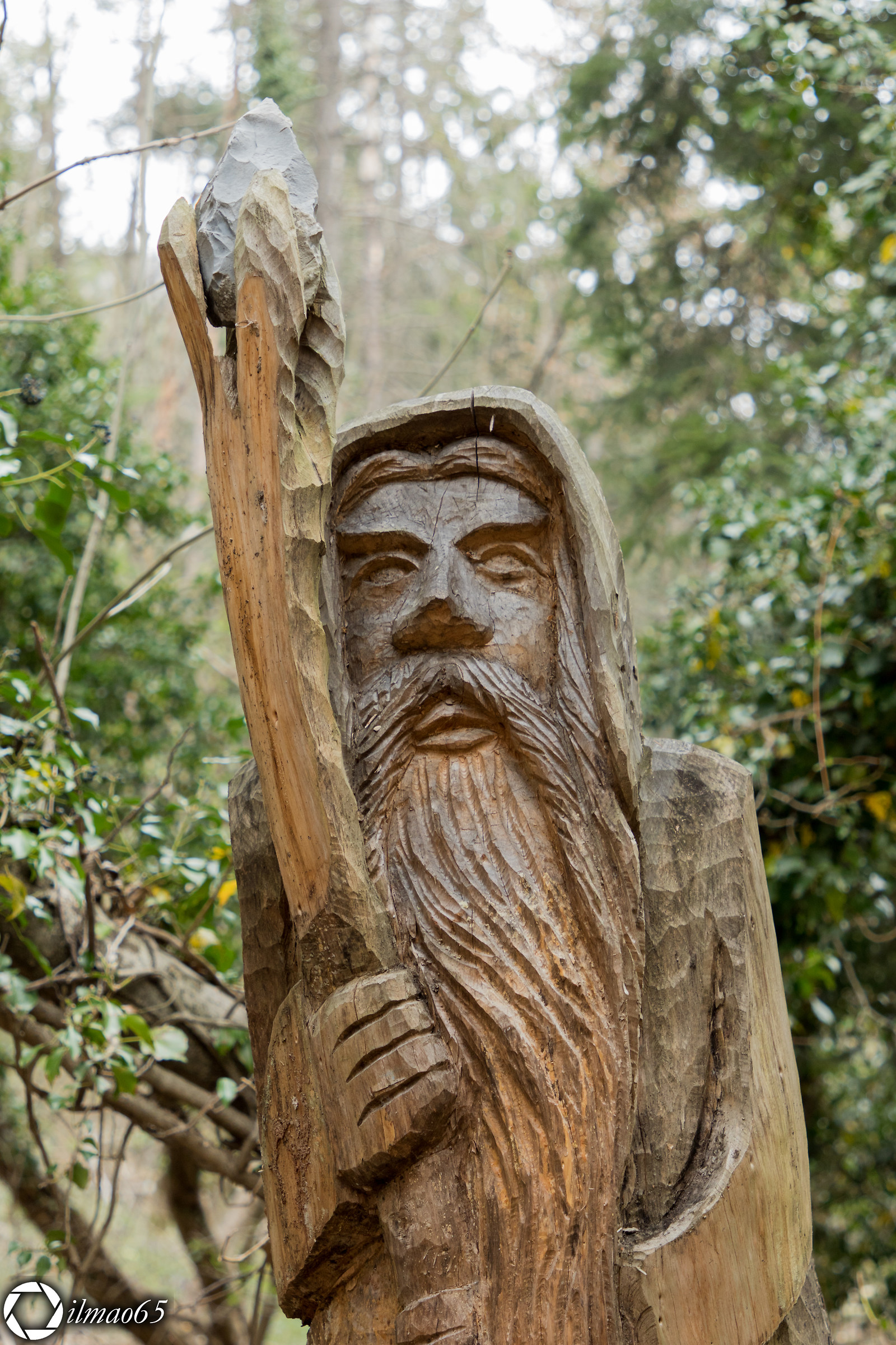 The spirits of the Wood