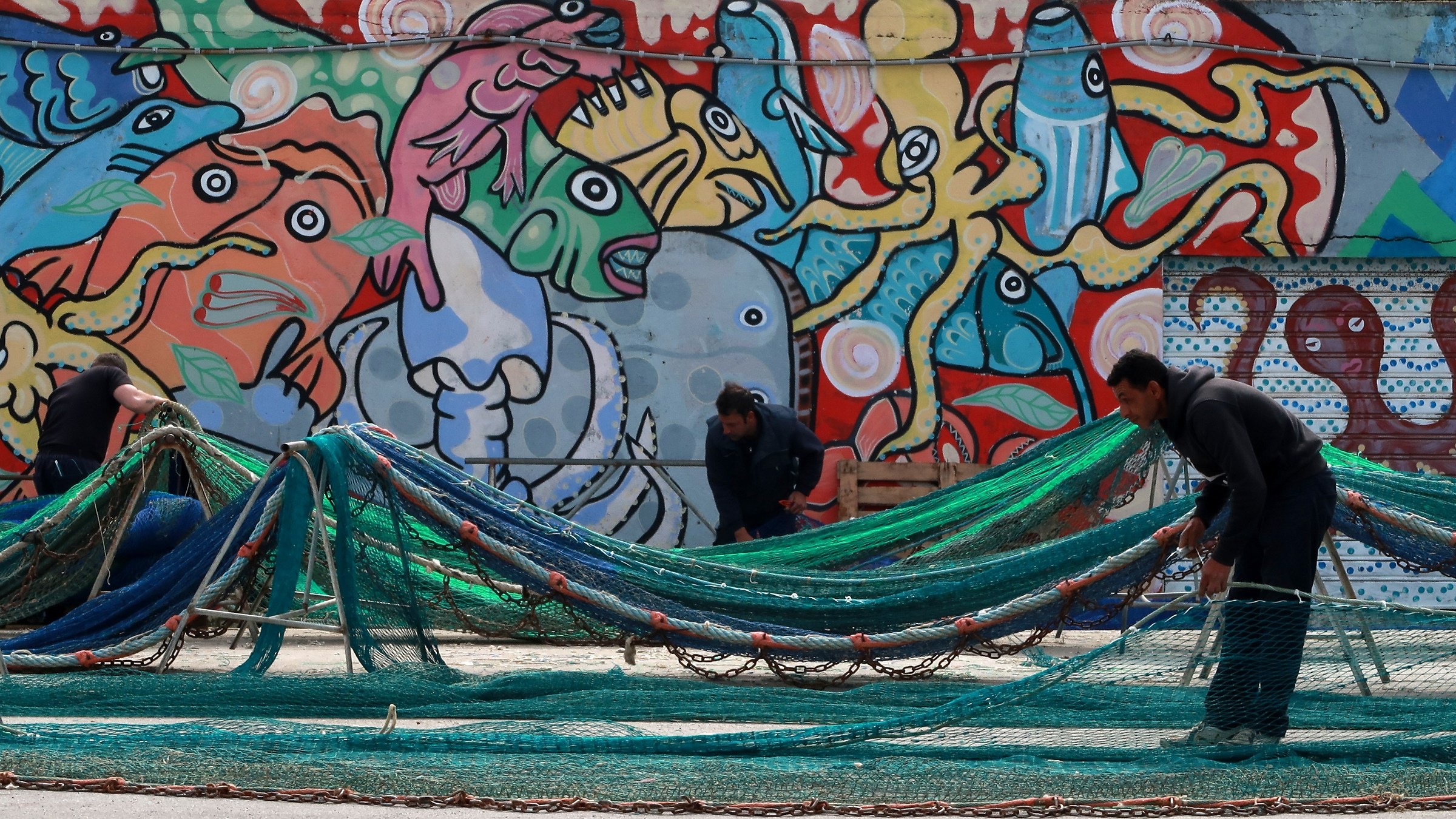 and the fish are watching