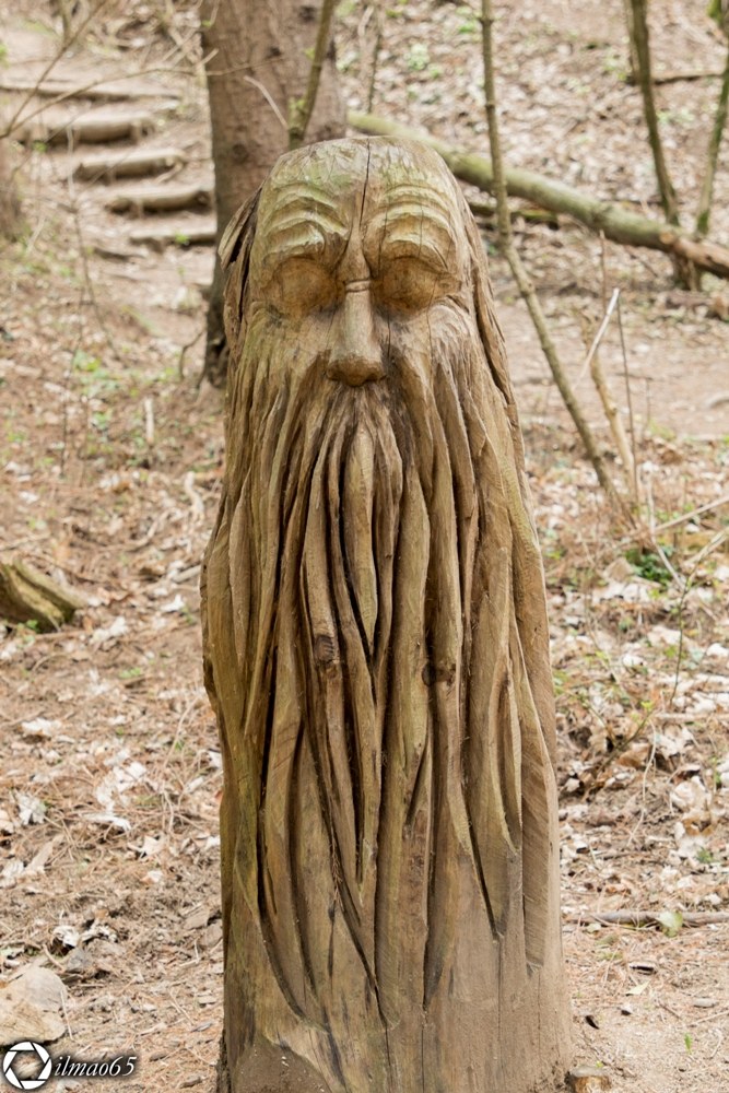 The spirits of the Wood