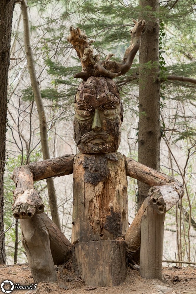 The spirits of the Wood