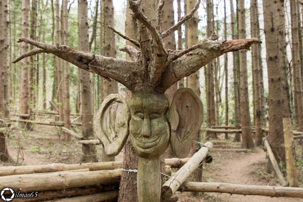 The spirits of the Wood