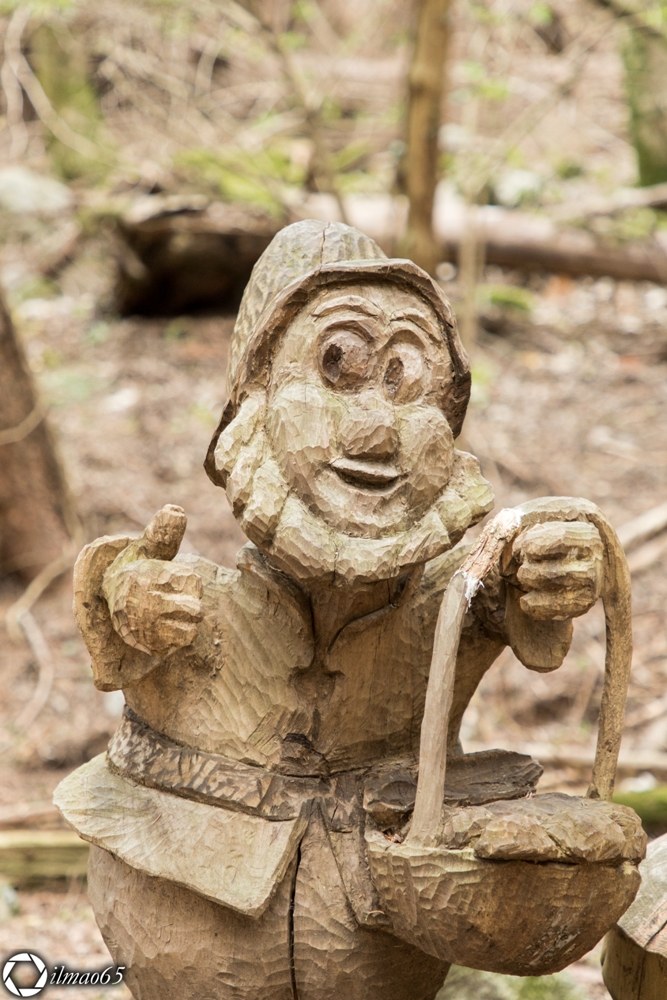 The spirits of the Wood