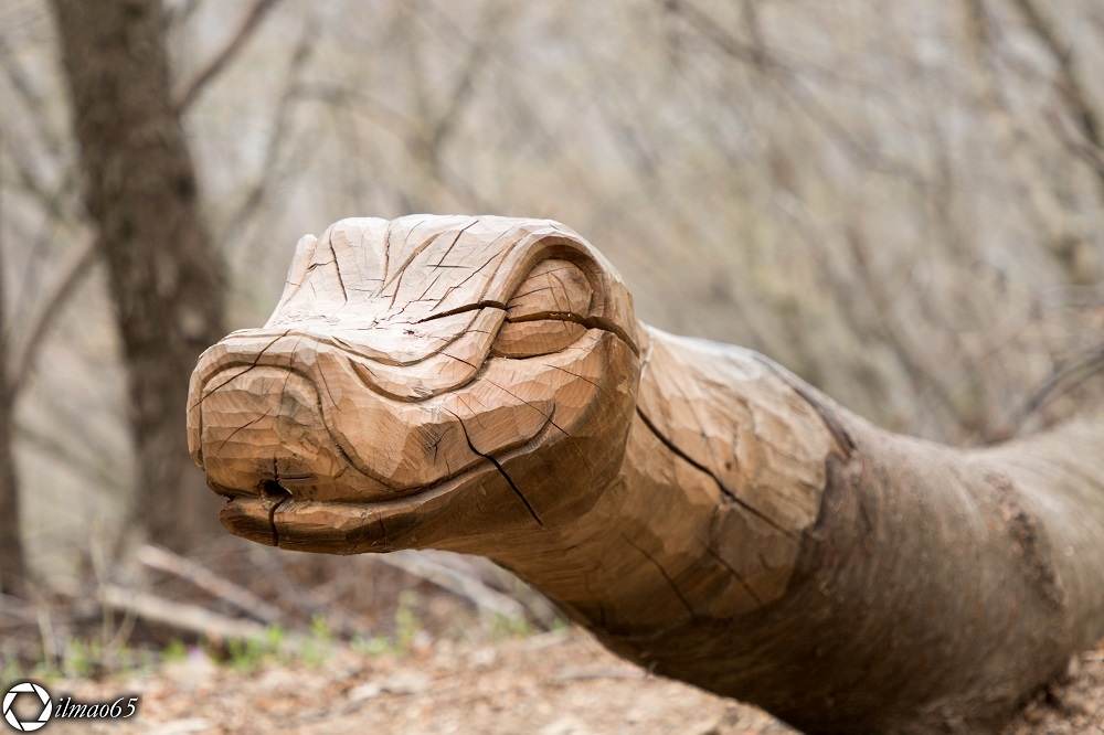 The spirits of the Wood