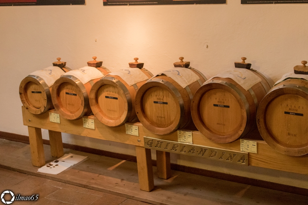 Barrels of Balsamic vinegar