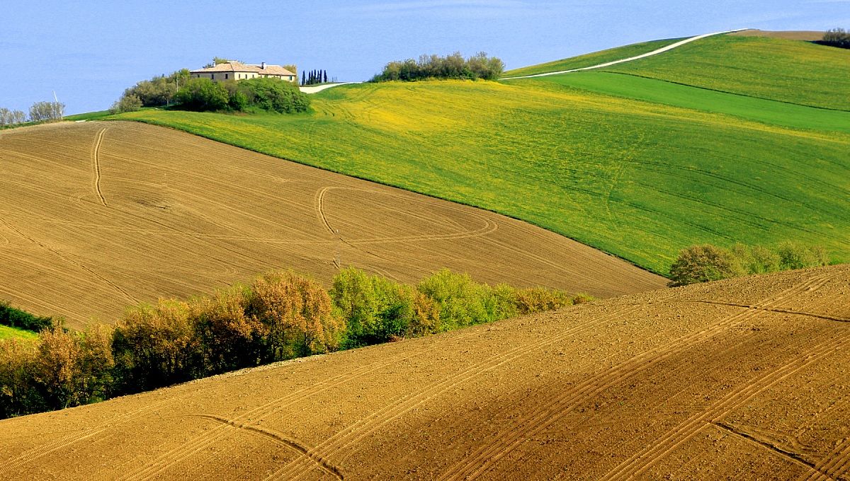 Marche landscape