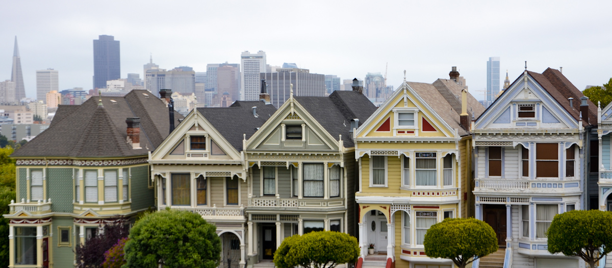 painted ladies