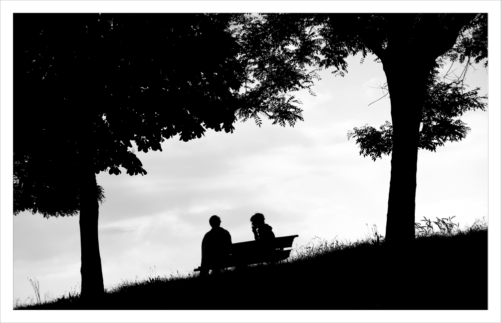 Sulle mura di Lucca_1