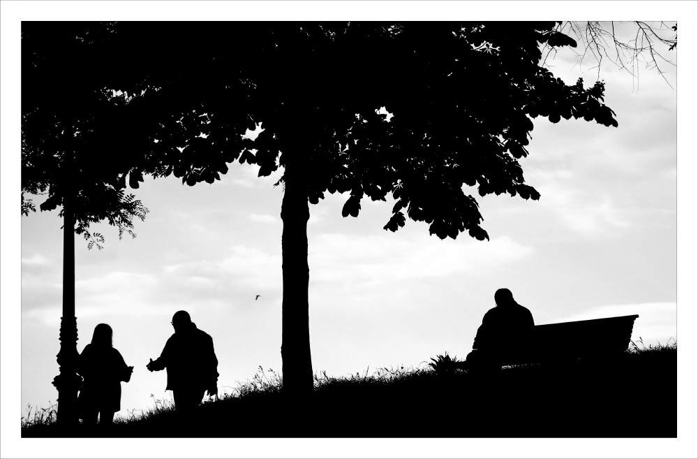 Sulle mura di Lucca_2