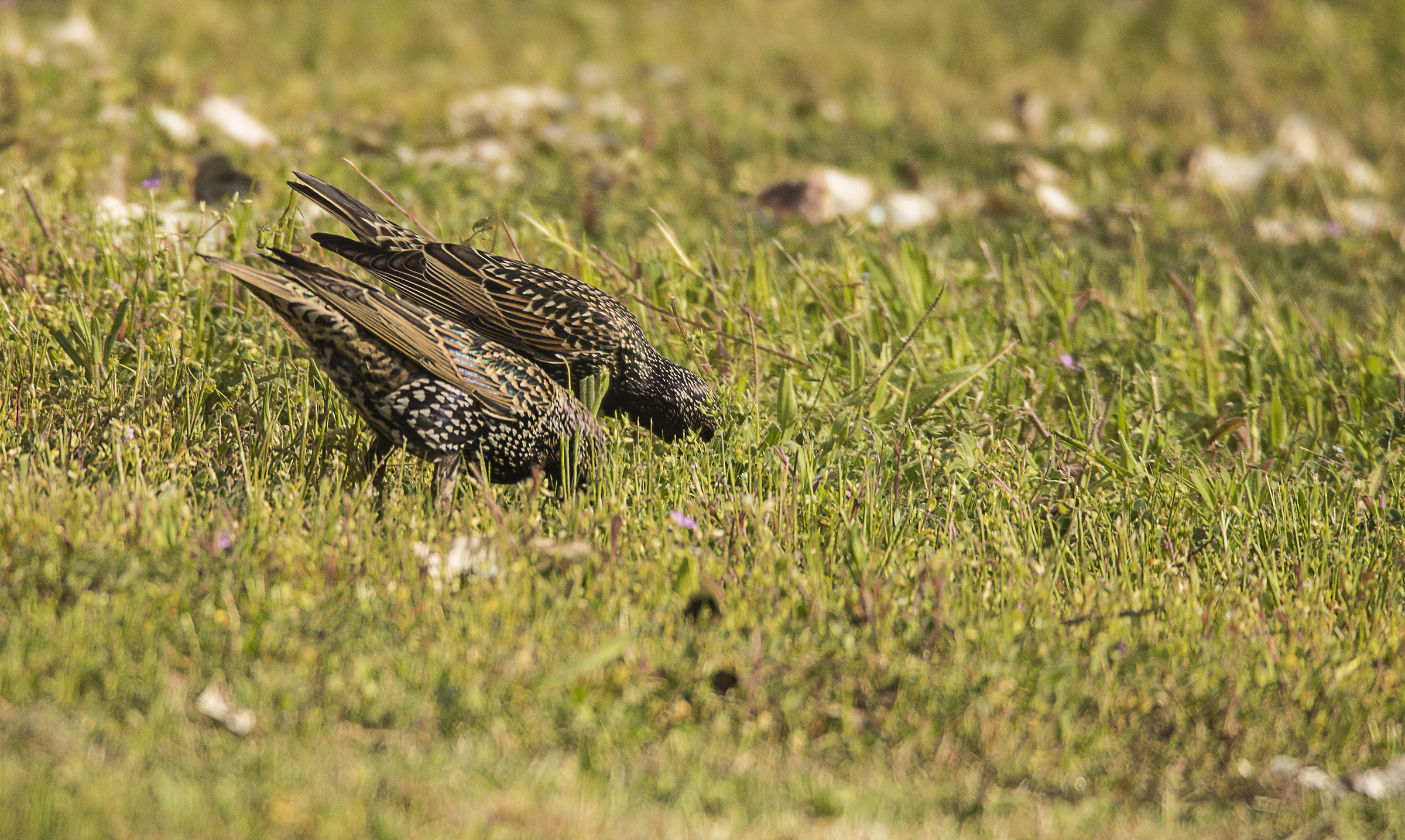 An invitation to lunch