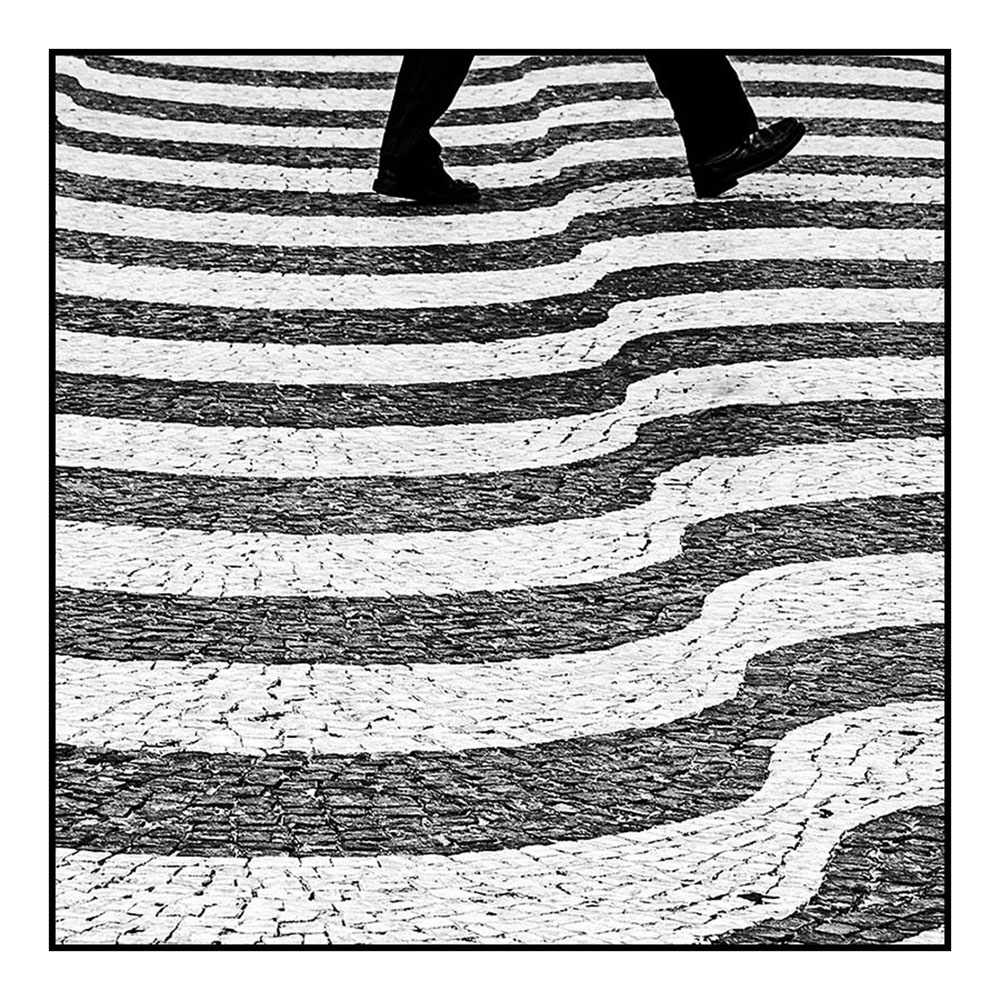 white black line line