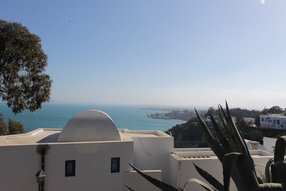 domes in the sky azole