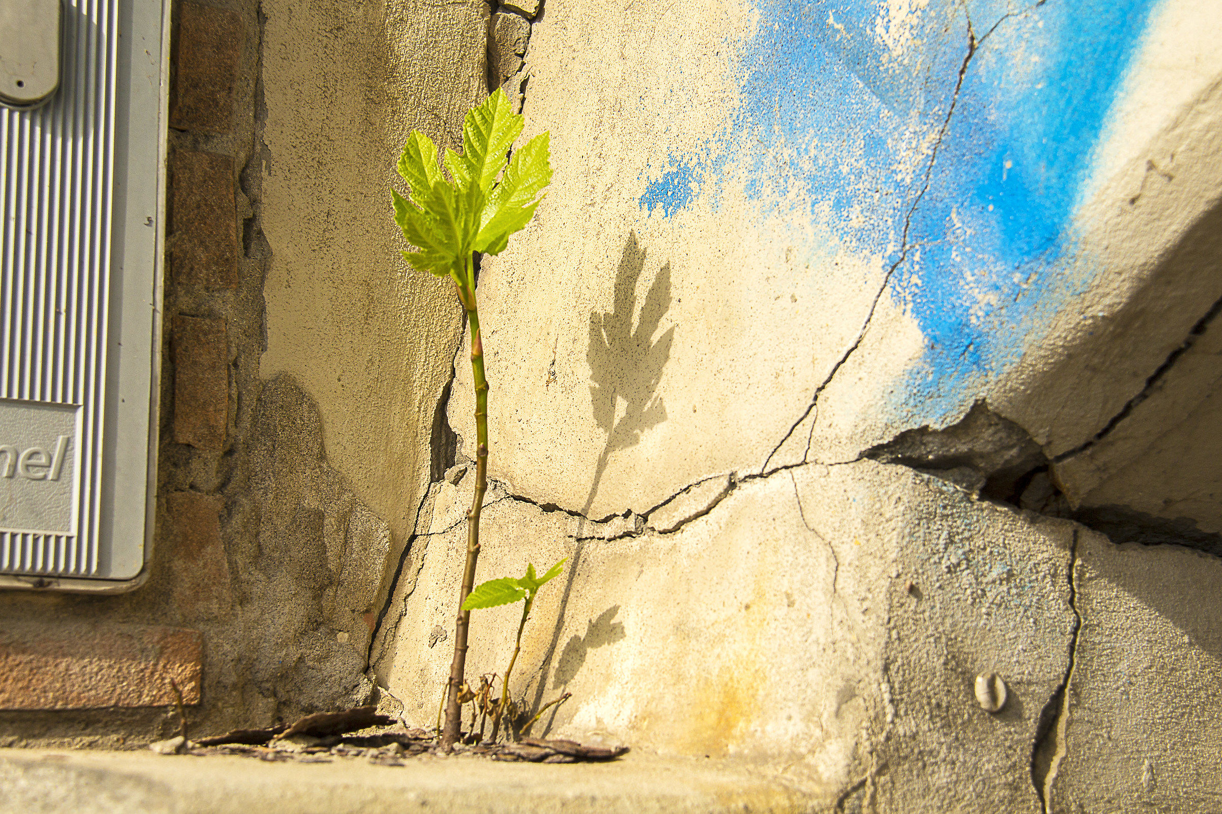 La vita è più forte...