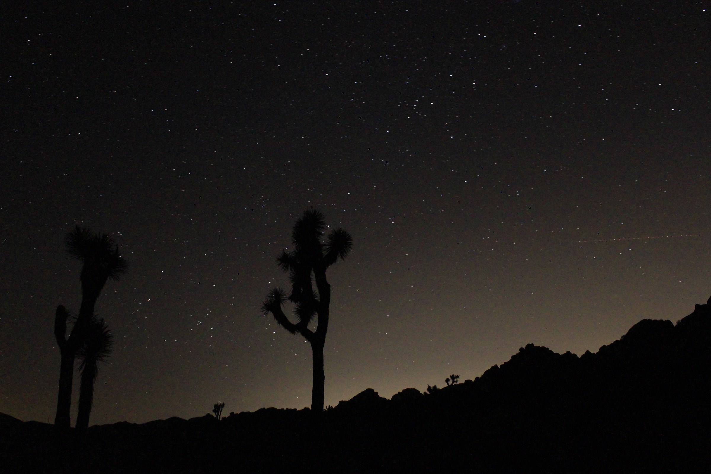 Un cielo notturno presso il Parco Nazionale di Joshua Tree