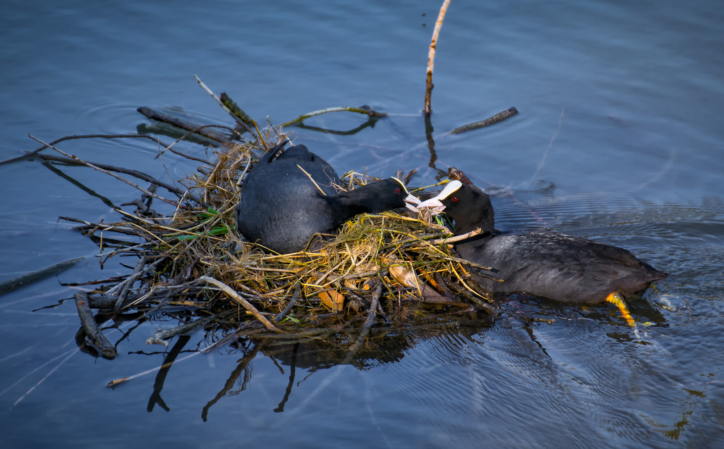 Insieme costruiamo il futuro....