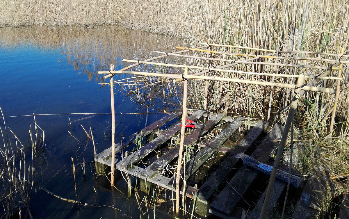 fixed appostamento preparation