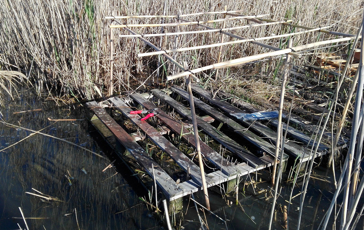 fixed appostamento preparation