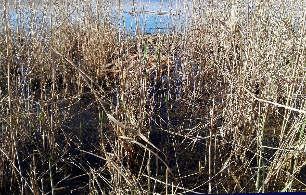 fixed appostamento preparation