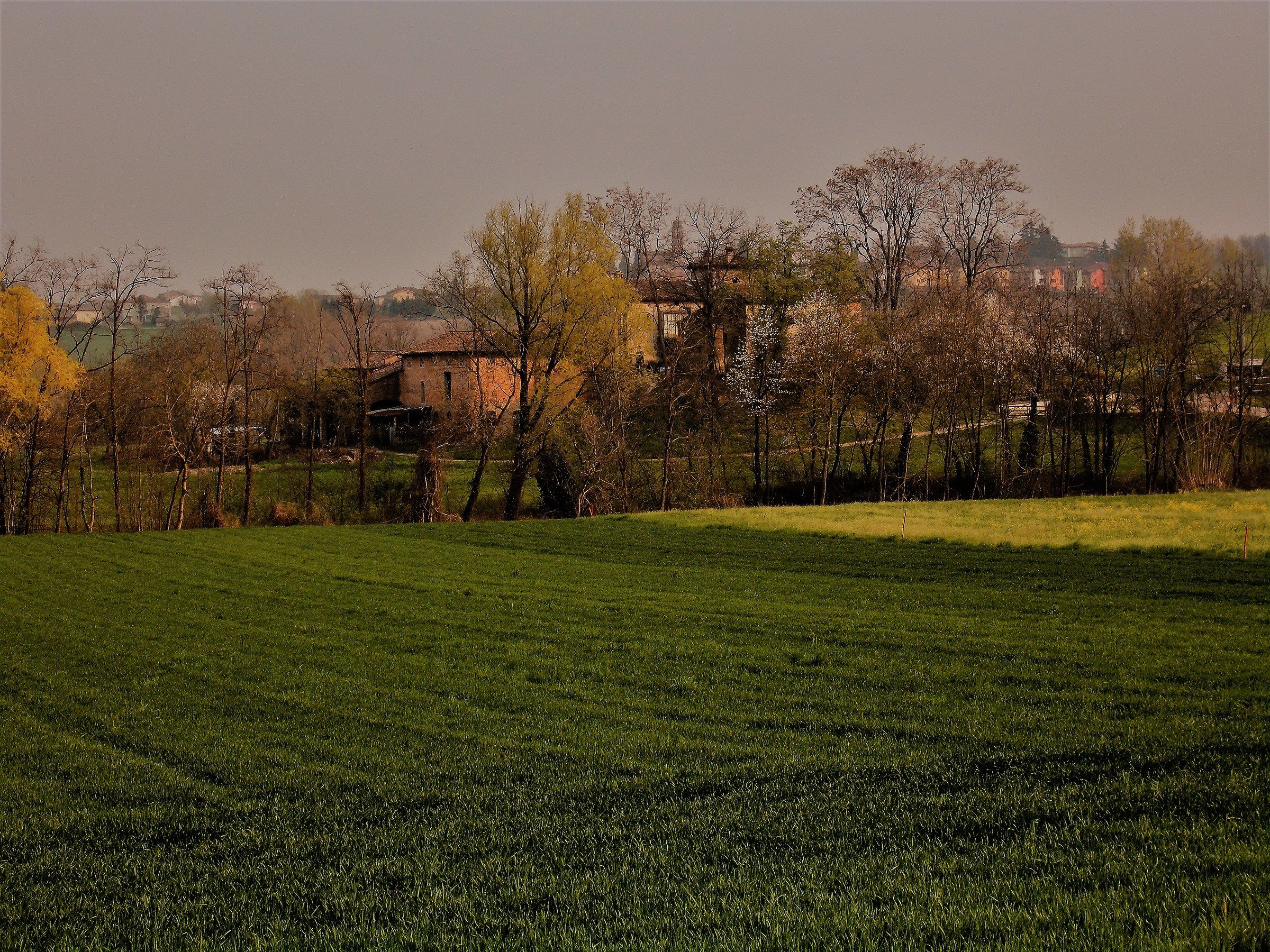 Nei dintorni di Fidenza