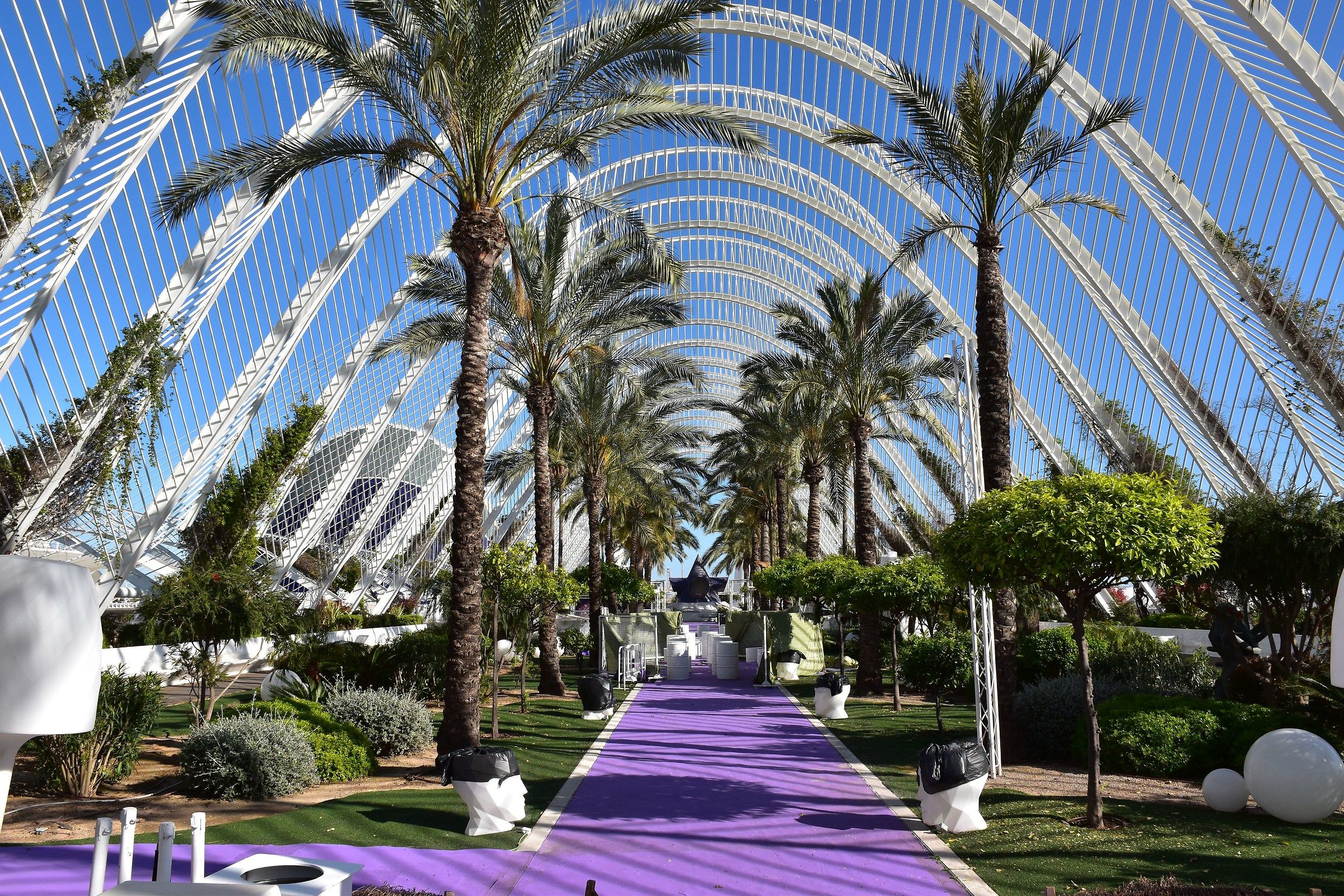 Puente de Calatrava Valencia