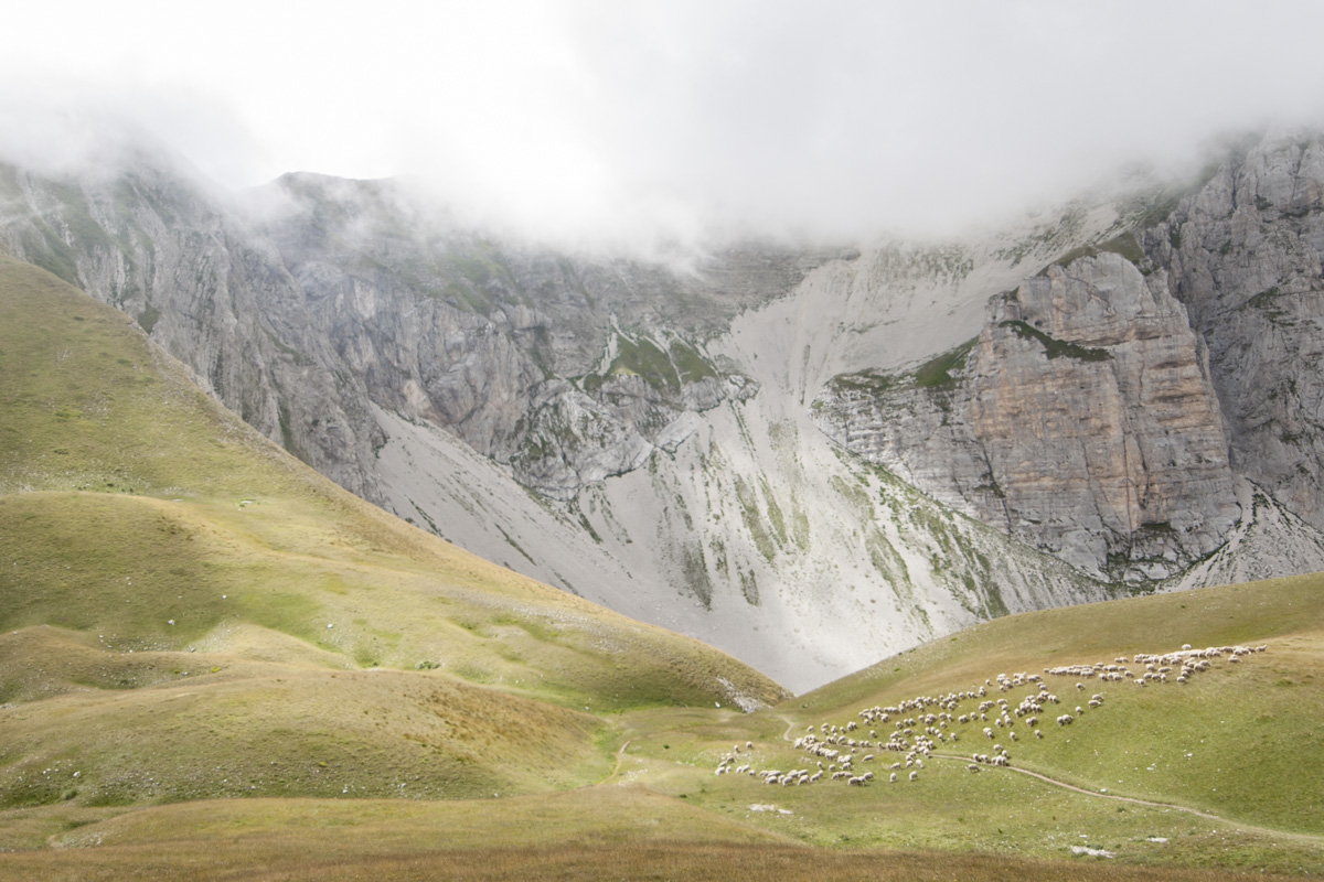 Up there, up there in the green pastures