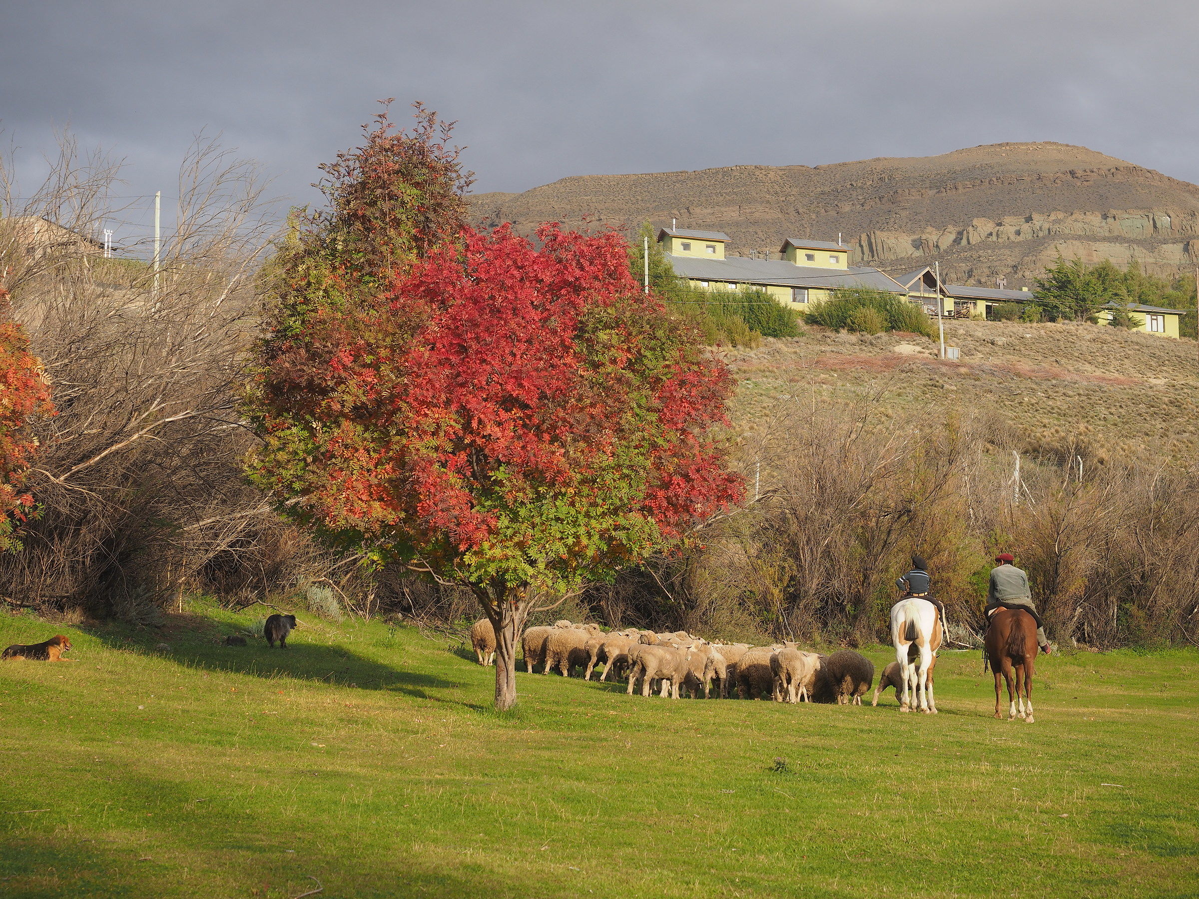 El Calefate. Estancia