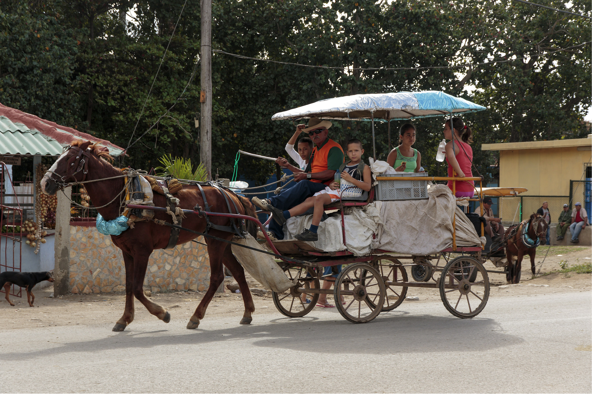 On the streets of Cuba not only vintage car